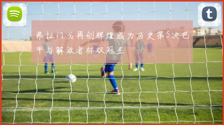 弗拉门戈再创辉煌成为历史第5次巴甲与解放者杯双冠王
