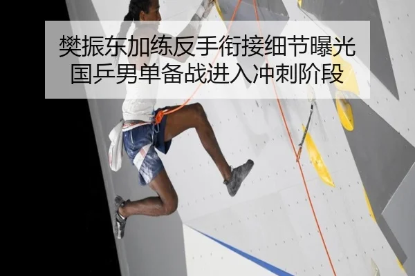 樊振东加练反手衔接细节曝光 国乒男单备战进入冲刺阶段 - xingkong